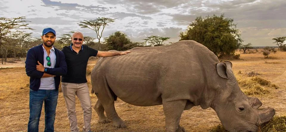 Rohit Sharma and rhinoceros 